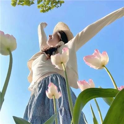 双城之战：天堑